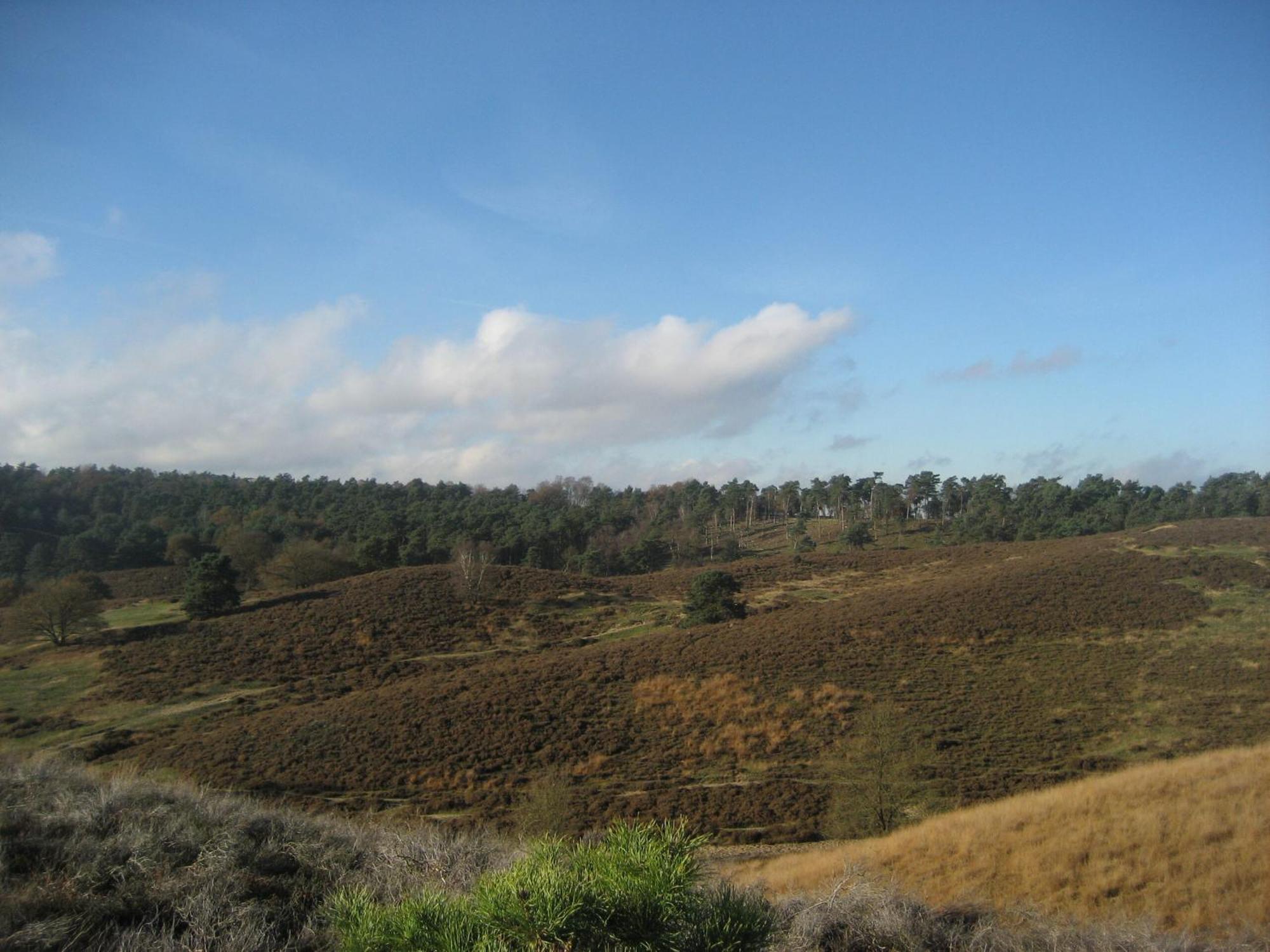 Ellecom Bed And Breakfast De Oude Dorpsbakker מראה חיצוני תמונה